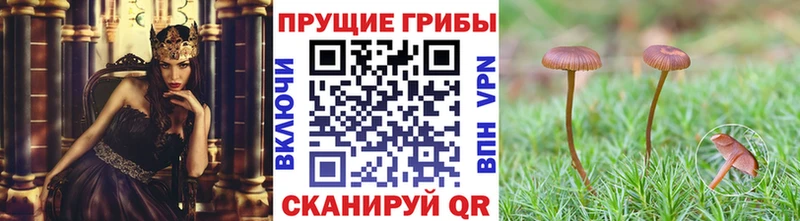 Купить  Суоярви  Псилоцибиновые грибы Magic Shrooms 